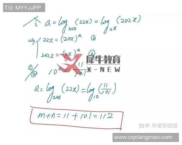 独家解析：杭州排球队的战术节奏与对手的全面对比分析