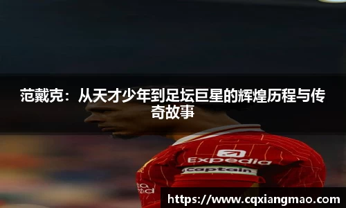 bellbet贝博APP