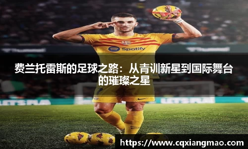 费兰托雷斯的足球之路：从青训新星到国际舞台的璀璨之星